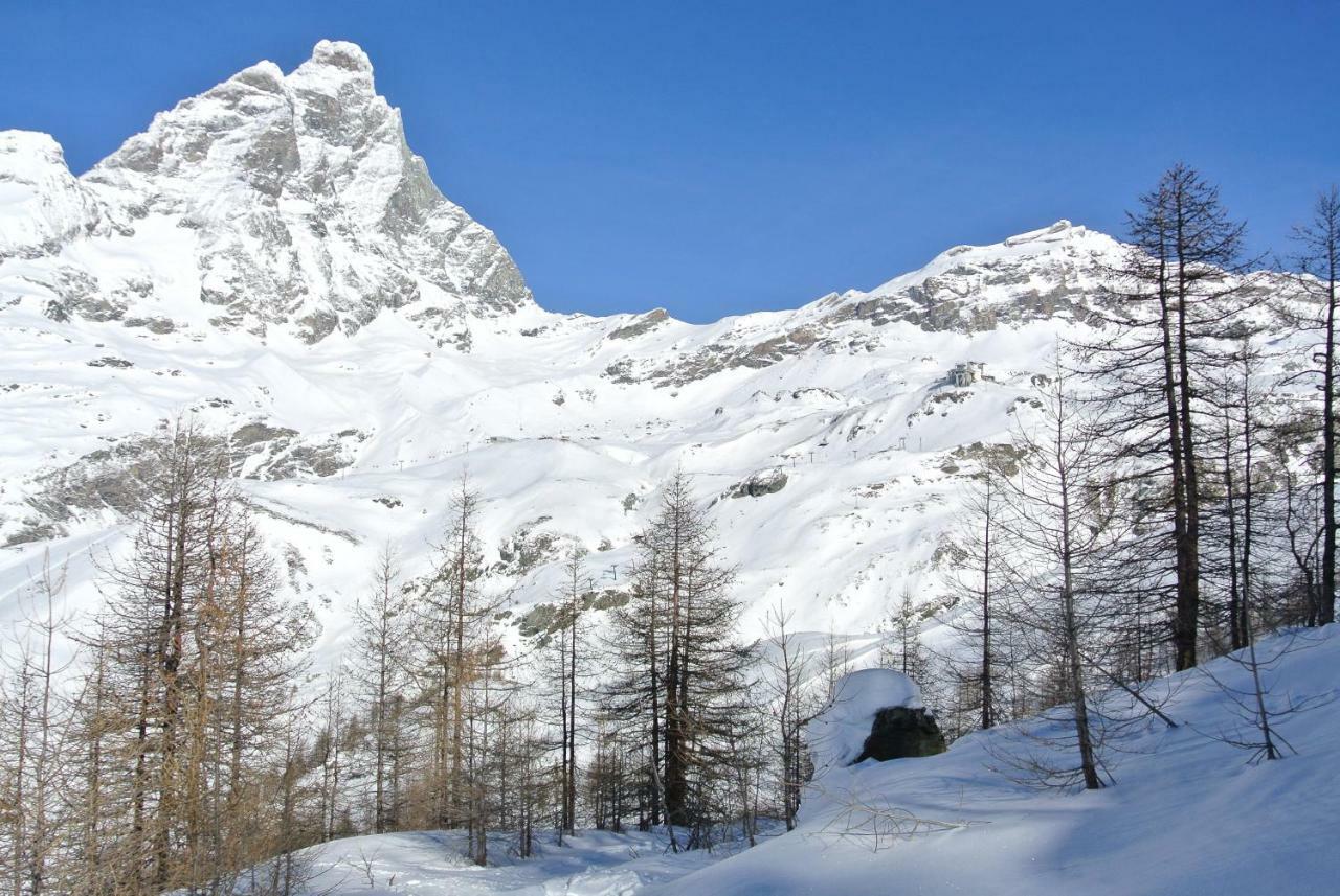 Complesso I Dadi - Residence Cielo Alto - Alberto 21 Breuil-Cervinia Eksteriør billede